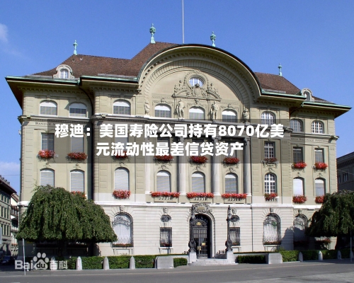穆迪:美国寿险公司持有8070亿美元流动性最差信贷资产-第2张图片