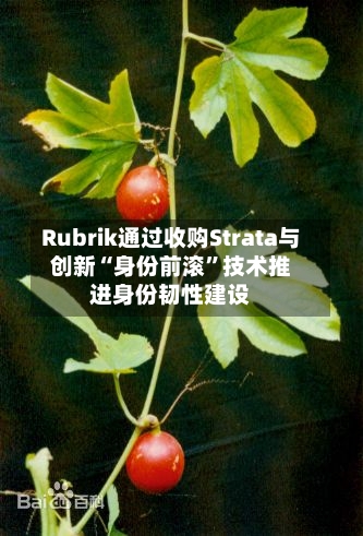 Rubrik通过收购Strata与创新“身份前滚”技术推进身份韧性建设-第3张图片