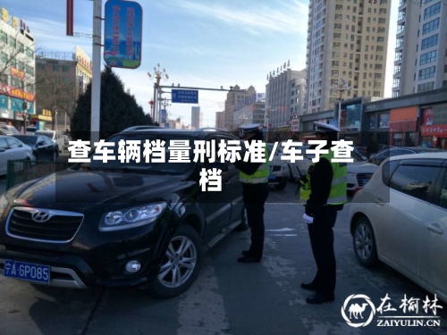 查车辆档量刑标准/车子查档