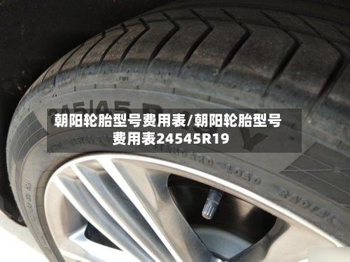 朝阳轮胎型号费用表/朝阳轮胎型号费用表24545R19