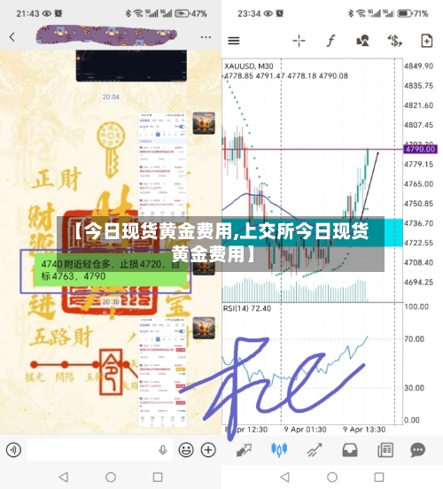 【今日现货黄金费用,上交所今日现货黄金费用】-第1张图片